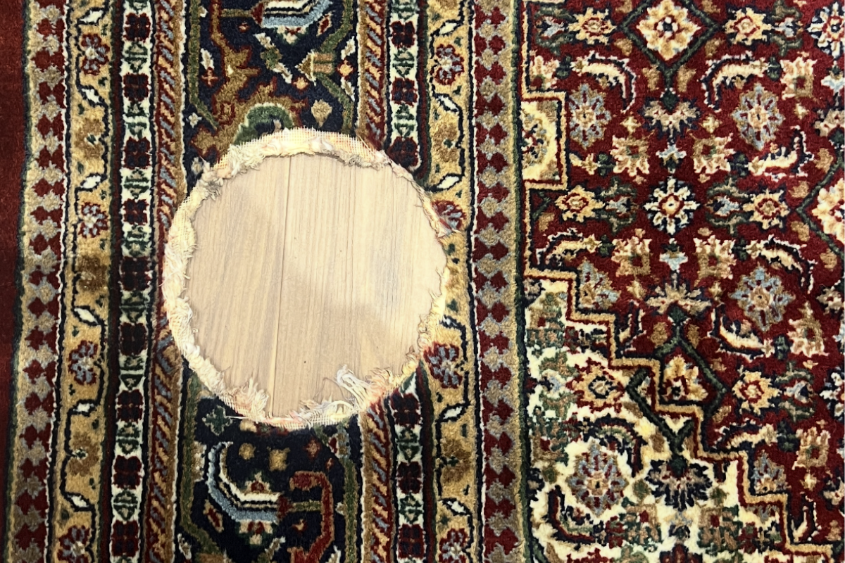 Persian Rugs Clinic logo – expert rug restoration and cleaning