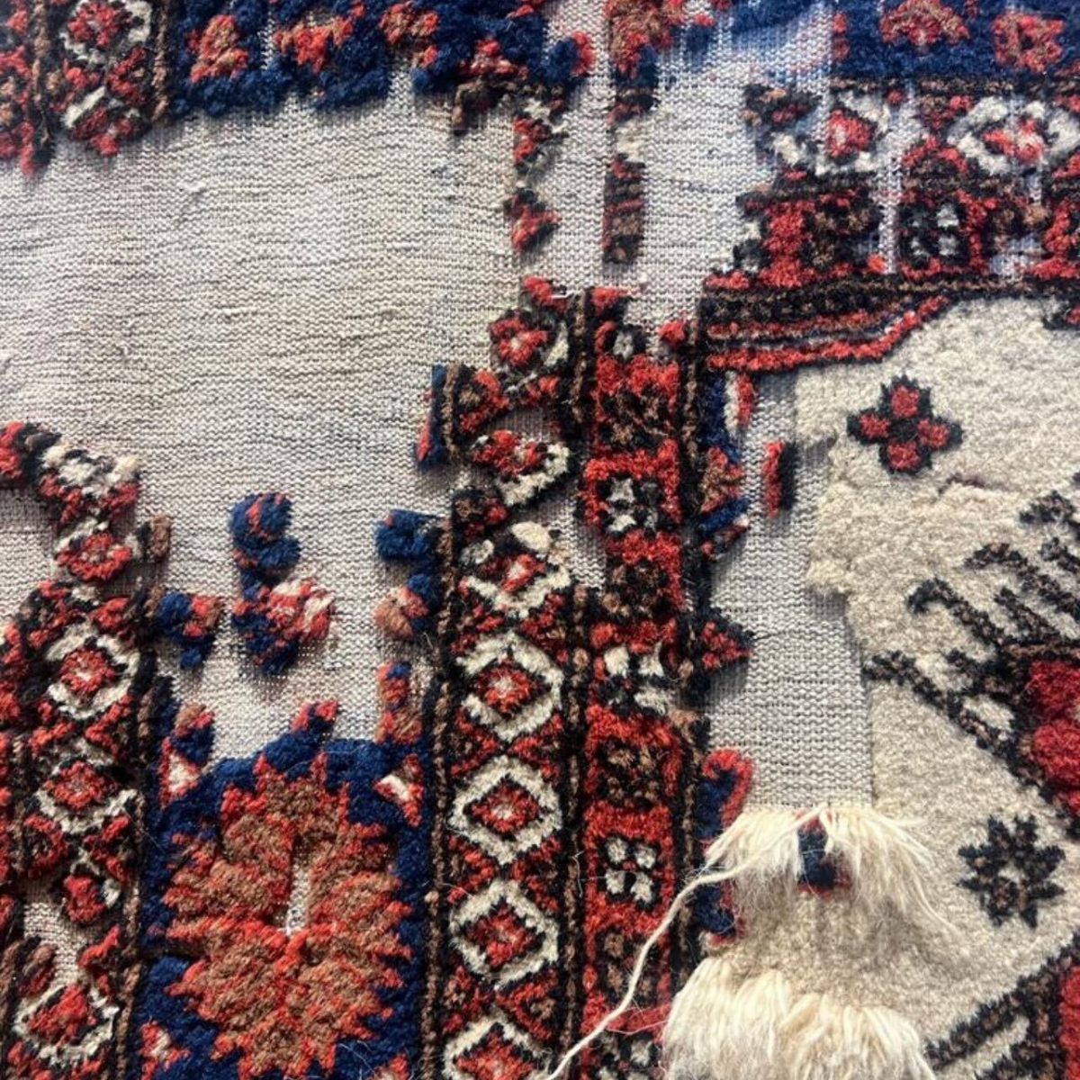 Persian Rug Clinic (5) Persian Rugs Clinic – professional Persian carpet cleaning and restoration